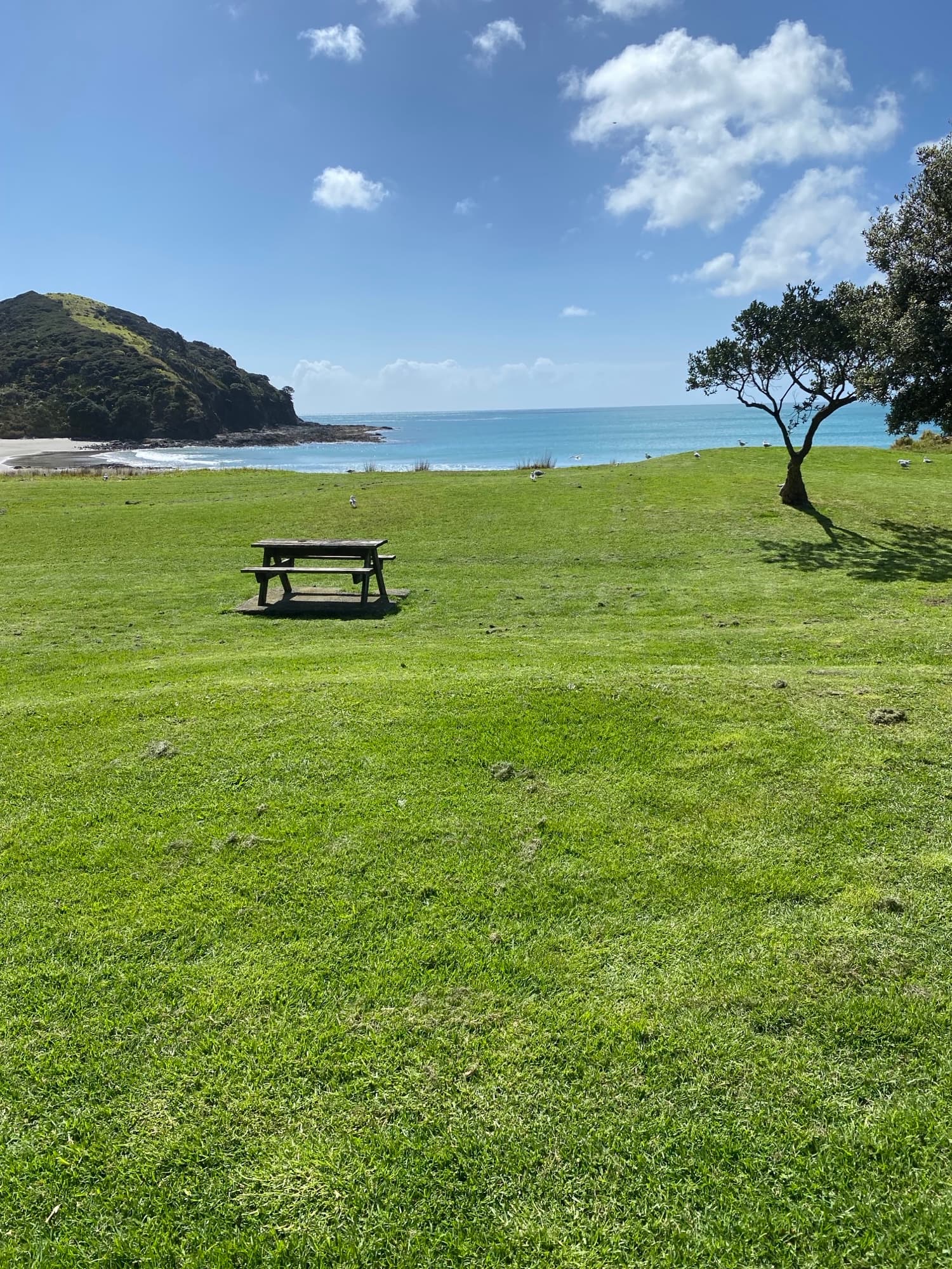 A sunny Northland coastline visited by the group